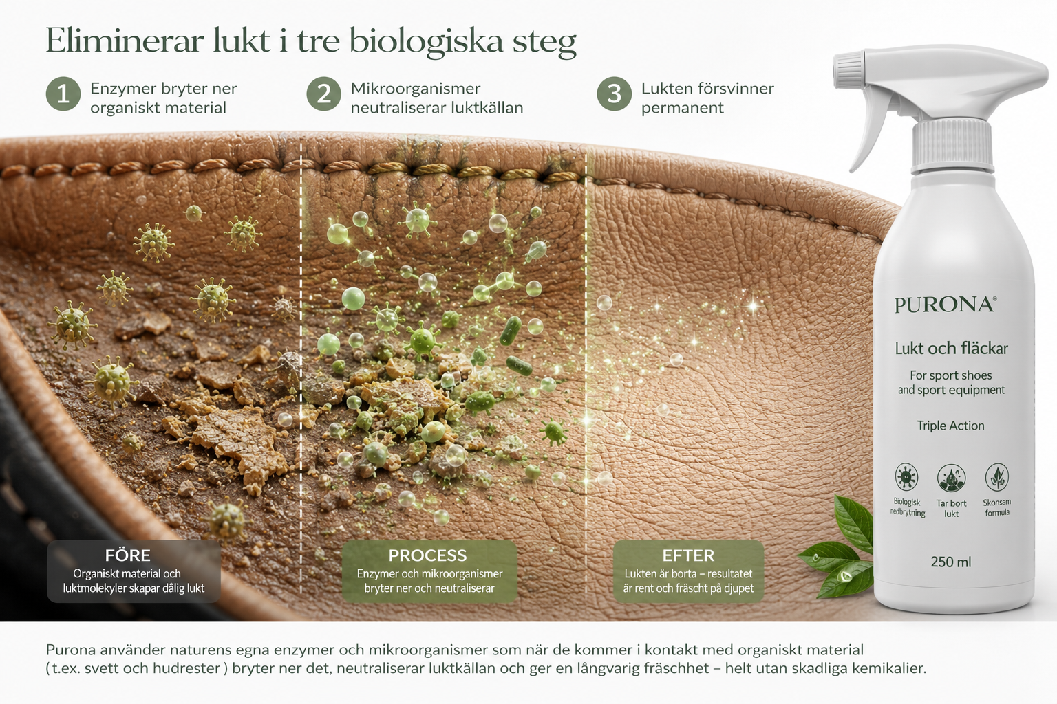 Biological decomposition in three steps